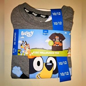 3/$30 The Viral Bluey Glow In The Dark Matching Family Halloween - Kids L 10/12
